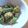 ciao1's cooksnap of when they made オクラのごまあえ.
