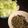 liarra's cooksnap of when they made ママンの激旨スタミナ!!ニラ挽肉☆☆.