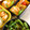 ryoko5's cooksnap of when they made しし唐とおかかで♪.