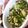 mahochan1's cooksnap of when they made ビニールで茄子ときゅうりのわさび塩麹漬け.