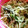 めいぬこ's cooksnap of when they made あと１品に♪もやしと青梗菜のおひたし.