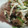 nazuki♪'s cooksnap of when they made 玉ねぎときゅうりとシーチキンの簡単サラダ.