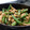 食べ物全般大好き's cooksnap of when they made ささみとインゲンのごまネギソース.