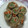 HappyKoron's cooksnap of when they made 合挽き肉の野菜巻き★春巻き.