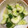 春♡ｍａｍａ's cooksnap of when they made お箸が進む！きゅうりの中華漬け.