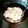 rodyboy1's cooksnap of when they made 万能☆梅タルタル.