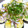 たま６１９'s cooksnap of when they made 夏が旬！さっぱりなす.
