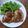 はるぴょんの母's cooksnap of when they made 鶏もも肉の漬け焼き.
