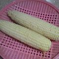 サーフブレイド's cooksnap of when they made トウモロコシの茹で方.