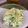 クックUW92JL☆'s cooksnap of when they made キャベツとセロリのカレーコールスロー.