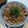 梅尾の嫁さん's cooksnap of when they made 和風きのこスパゲティー.