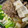 ざびくぬ's cooksnap of when they made きのこ多め、すきやき風煮.