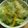 まるもちくん's cooksnap of when they made シンプル簡単♪レタスのハーブ塩サラダ.