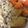 アトミックハート's cooksnap of when they made 厚揚げの甘辛煮.