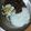 はーるるん's cooksnap of when they made 超簡単♪家にあるものでキーマカレー.