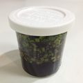 Hoink's cooksnap of when they made 韮・ニラ・にら醤（韮の保存調味料））.