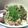 @ちんまりさん's cooksnap of when they made 美味美味★タコさんのニンニクしそ和え.