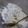 べにしょうがどん's cooksnap of when they made ヨーグルト生クリームお砂糖だけ ICE*.