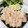 jack06's cooksnap of when they made 美味しさの秘密は蜂蜜♫　我が家の塩豚♡.