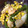 ゆうちゅけはん's cooksnap of when they made ぷりぷりシーフードとアスパラの塩炒め.