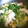 エドリバー's cooksnap of when they made これだけで美味しい♪小松菜と豆腐の卵とじ.