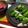 ちゃろげ's cooksnap of when they made ☆彡簡単おつまみ♪クリームチーズしそ巻き.