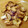 たべたいち's cooksnap of when they made 簡単豚肉となすのごま炒め*.