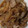 ささらんらん's cooksnap of when they made きのこと豚肉の甘炒め.
