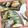 ひぴちゅー's cooksnap of when they made ゴーヤの天ぷら.