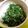 べじたりあーん's cooksnap of when they made おかひじきと油揚げの生姜ポン酢和え.