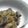 強気なこねこマリー's cooksnap of when they made 夏こそ！なすの味噌炒め.