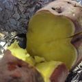 ララ945's cooksnap of when they made ほくほく♪オーブンで簡単焼き芋.