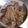 ばたかっぷ☆'s cooksnap of when they made 豚肉と大根の蒸し焼き＊梅ソース.