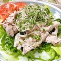 sanahey530's cooksnap of when they made しっとりお肉の冷しゃぶサラダ　　.