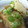 パグかね's cooksnap of when they made 厚揚げ豆腐のみぞれあんかけ風.