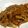 たまねぎ？'s cooksnap of when they made 豚の生姜焼き.