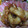 あっちのＴＡＫＵＲＯ's cooksnap of when they made ちくわの照り焼き♪.