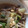 xxmiaxx's cooksnap of when they made レタスとシメジのオイスターソース炒め.