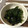 ゆっかだよ's cooksnap of when they made ダイエット✩にんにくとわかめの和え物♪.