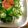 四ッ谷's cooksnap of when they made 超簡単!!オクラたらこご飯♪.