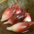 YUJIMOM's cooksnap of when they made 茗荷 みょうがの甘酢漬け.