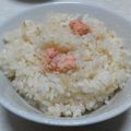 ☆shizu's cooksnap of when they made 全部入れて炊くだけ。炊き込みたらこご飯.