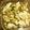 teriyakime's cooksnap of when they made イカと野菜のねぎ塩炒め.