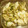 teriyakime's cooksnap of when they made イカと野菜のねぎ塩炒め.