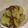 chissaato's cooksnap of when they made さつまいもの甘煮.