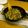 エリジウム's cooksnap of when they made チンジャオロース.