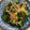 240915's cooksnap of when they made 胡瓜の薬味漬け.