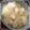 kemi★'s cooksnap of when they made 簡単美味しい♪鶏南蛮うどん.