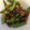 やなち0405's cooksnap of when they made いんげんと豚肉のピリ辛炒め.