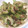 まいmama0322's cooksnap of when they made 簡単　ゴーヤのゆかり和え.